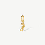 Seahorse Charm