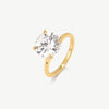 New In